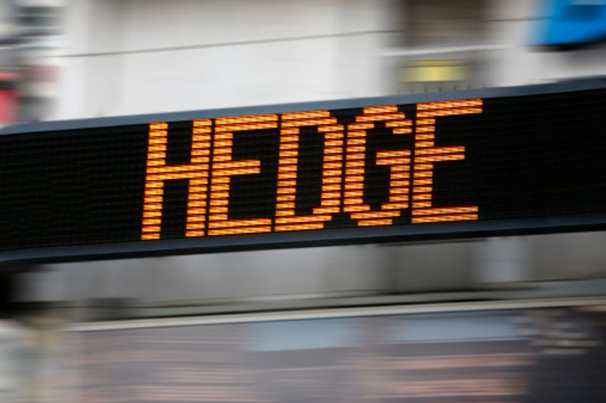 Hedge-Fon