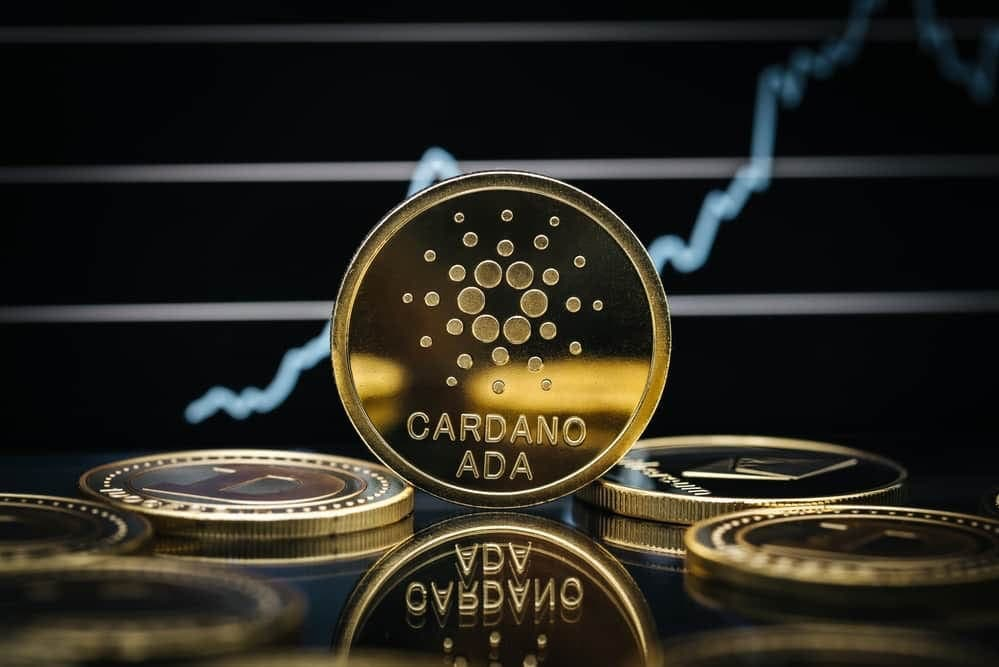 cardano-stake