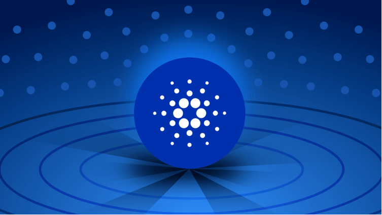 Cardano neden yükseldi?
